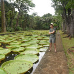 The Perfect Itinerary For Mauritius & Travel Guide