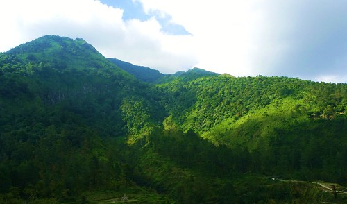 cheese the horses know how to strike a pose