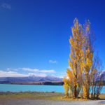 Memories of NZ Pt1: Scenic Turns Everywhere!