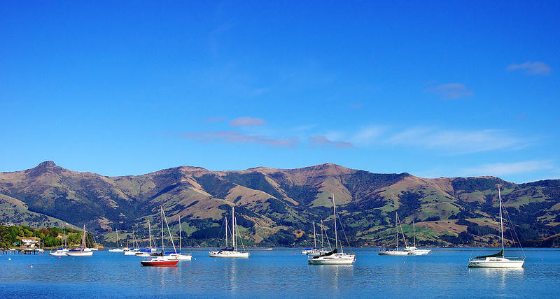 akaroa harbour