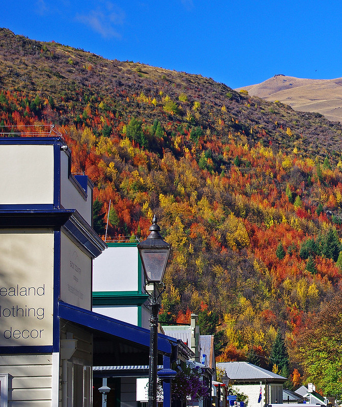 arrowtown autumn foliage