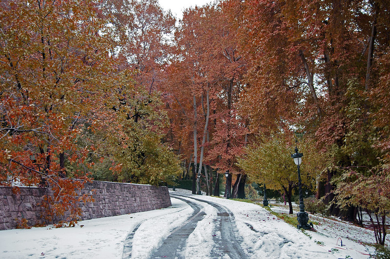 autumn colors in tajrish