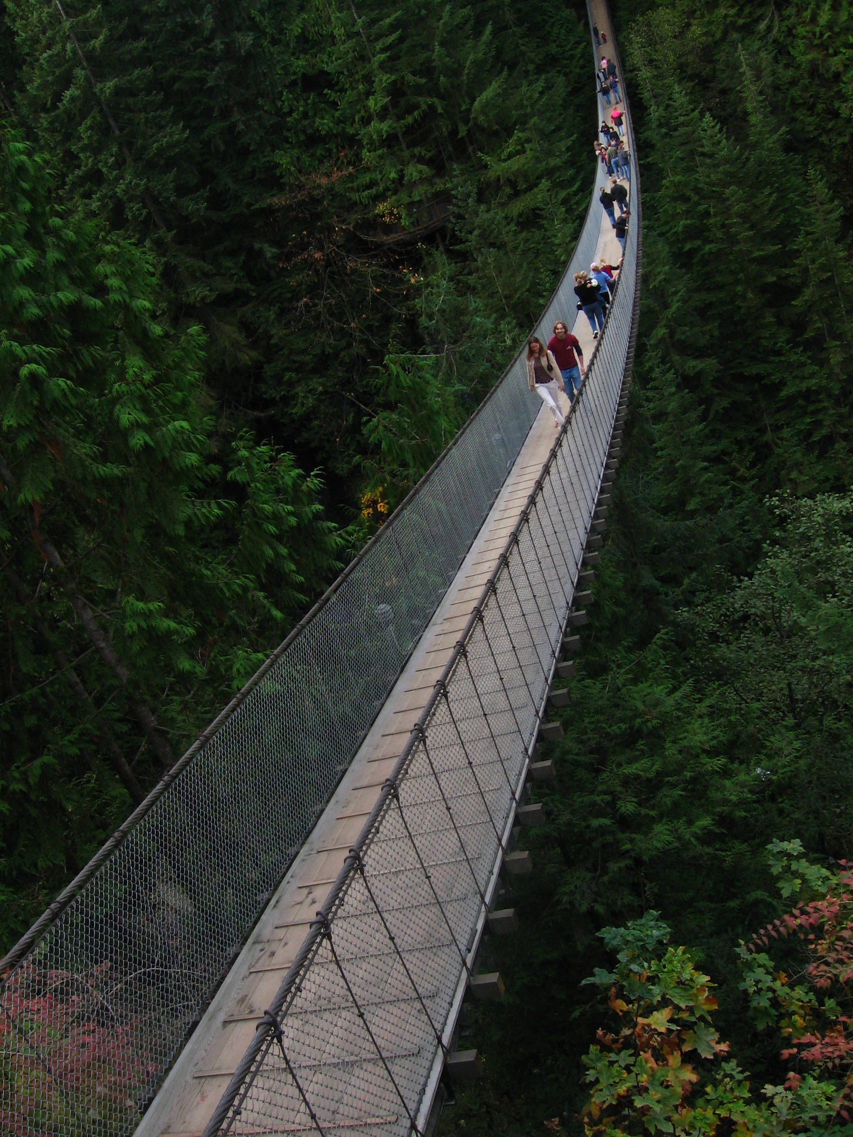 IMG_1321_3 the famous bridge