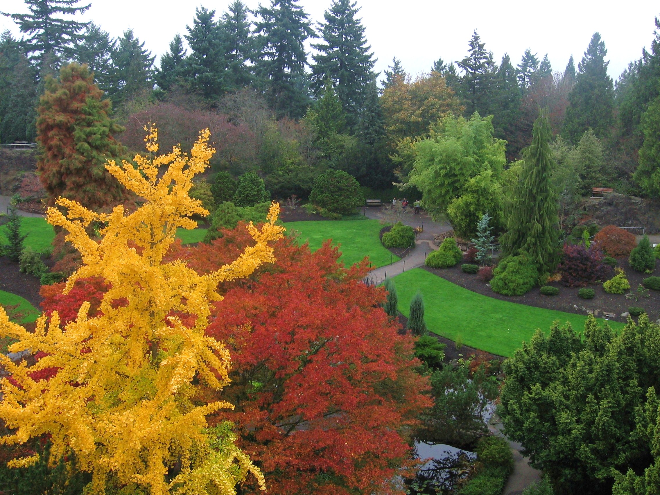 IMG_1381_2 autumn colors