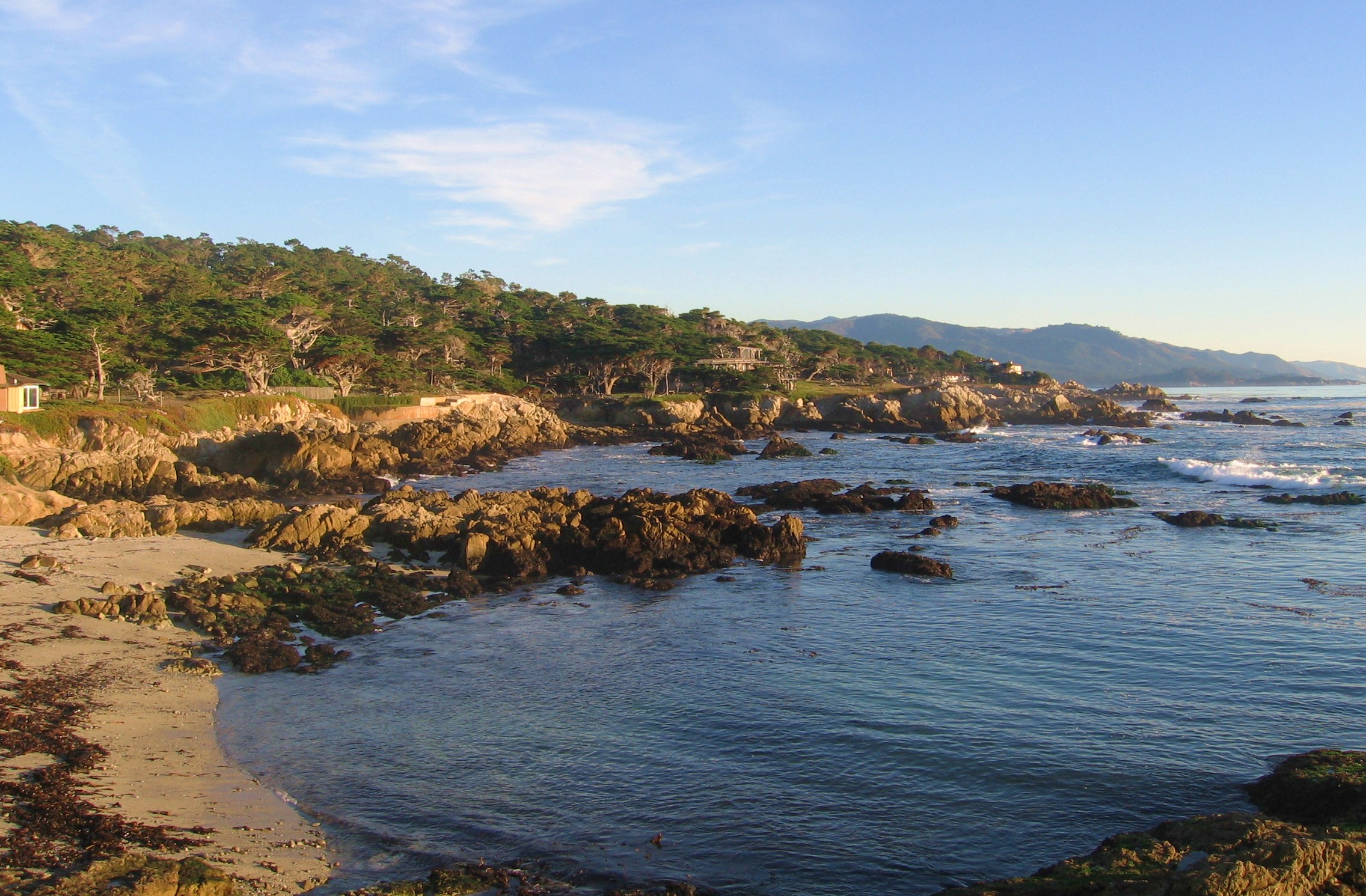 IMG_1568_1 pebble beach in the 17-mile scenic drive