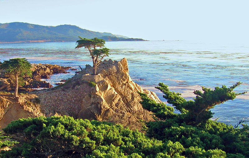 17 mile drive