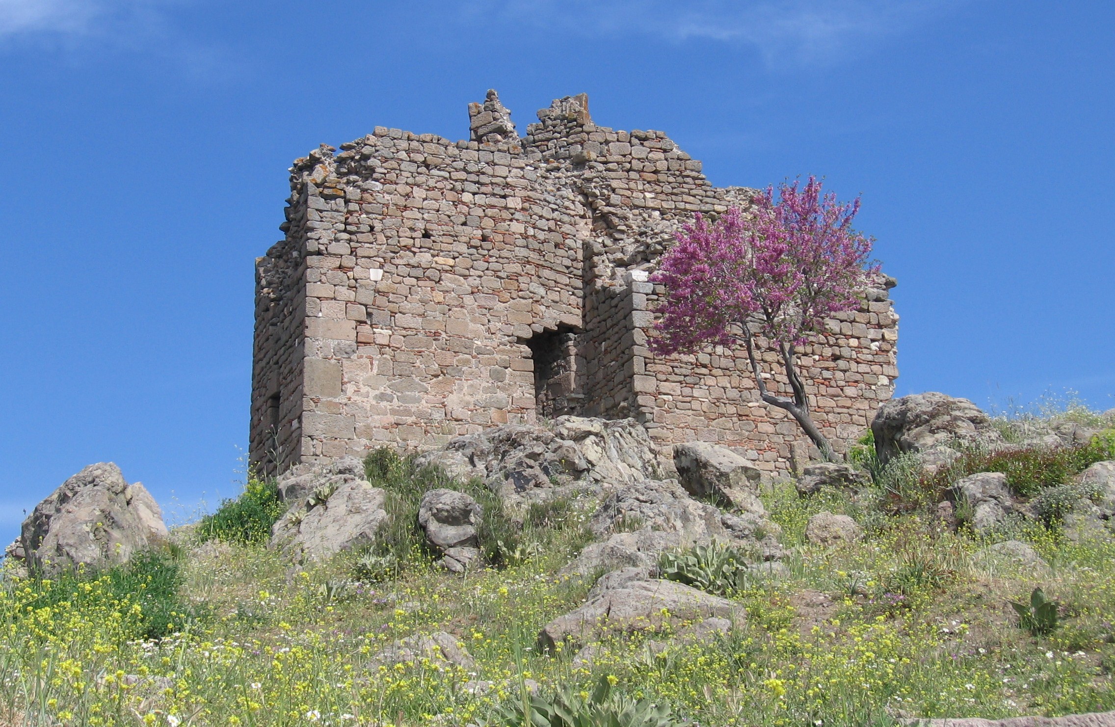 IMG_4588 don't know what it was but it looked interesting