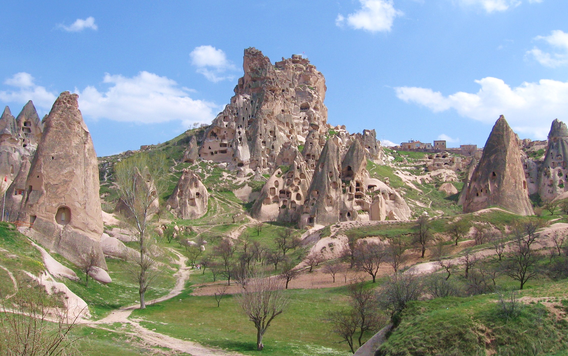 IMG_4831 cotton castles