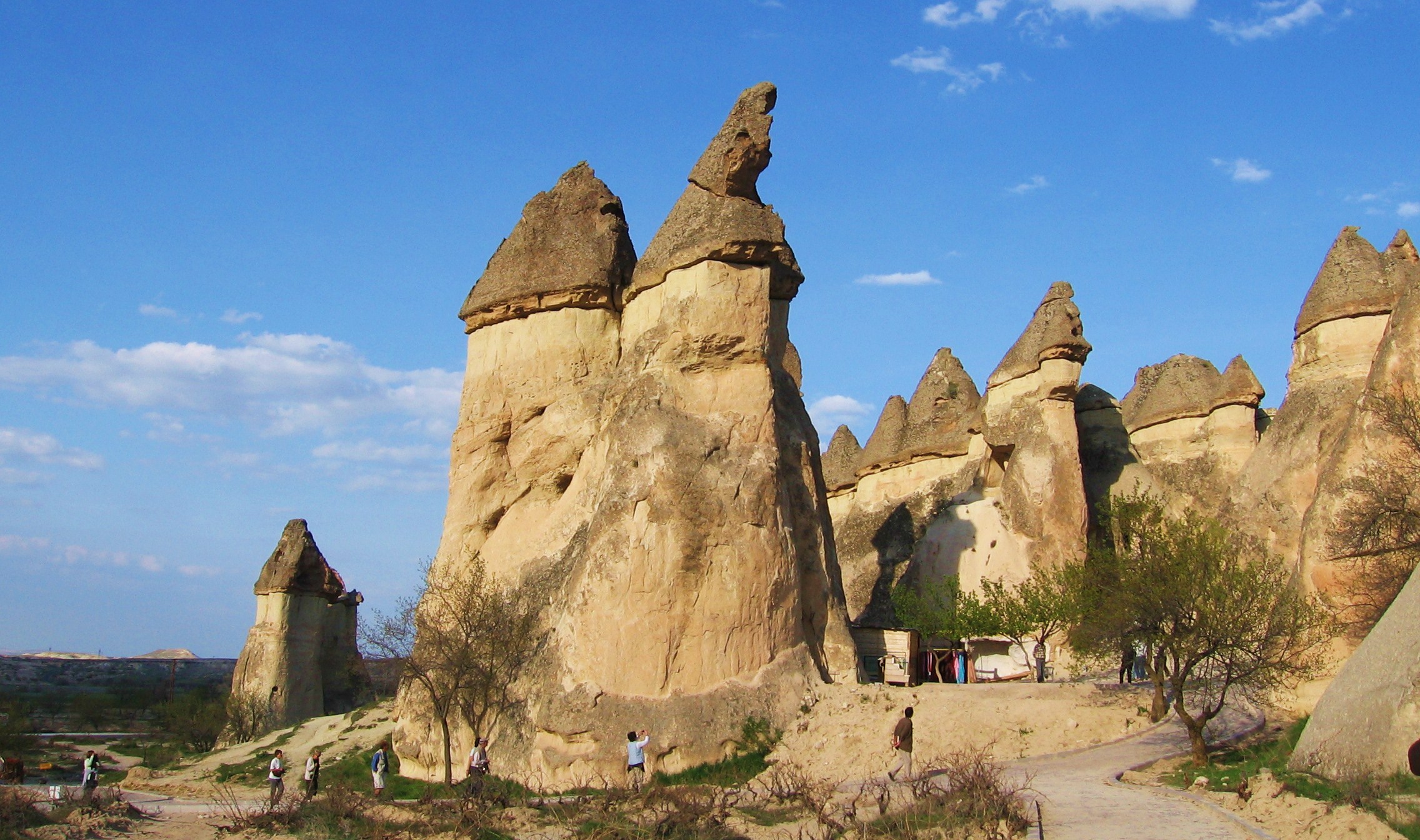 IMG_4857 it really looks like a smurf's house