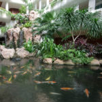 Time Out Weekend Staycation at Shangri-la Singapore